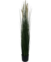 PLANT ART. C/POTE 18X18X120