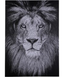 CANVAS LION
