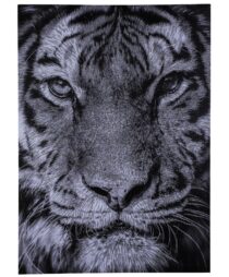 CANVAS TIGER