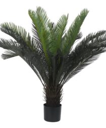 PLANT 100CM CYCAS W/28 LEAVES IN POT