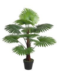POTTED QUE 100CM FAN PALM