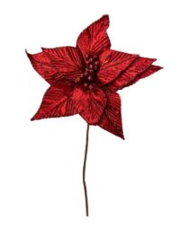 POINSETTIA STEM